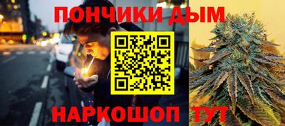 СК Дубна