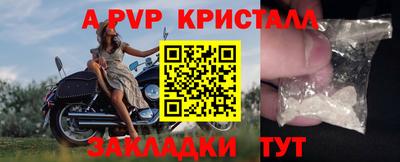 СК Дубна